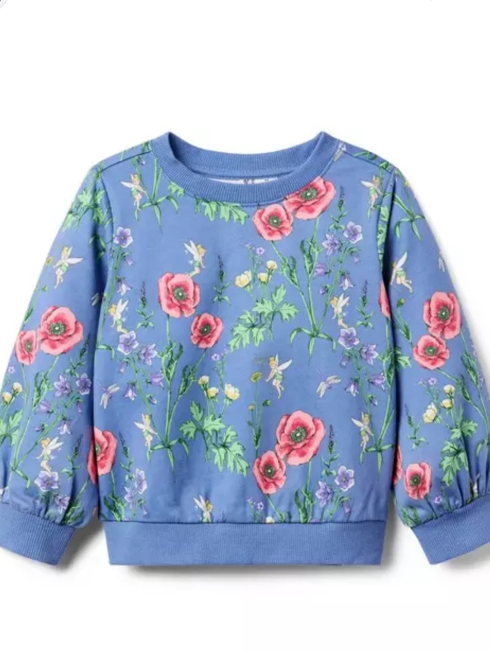 Janie and Jack Disney tinker bell Blue Floral Sweatshirt size 3